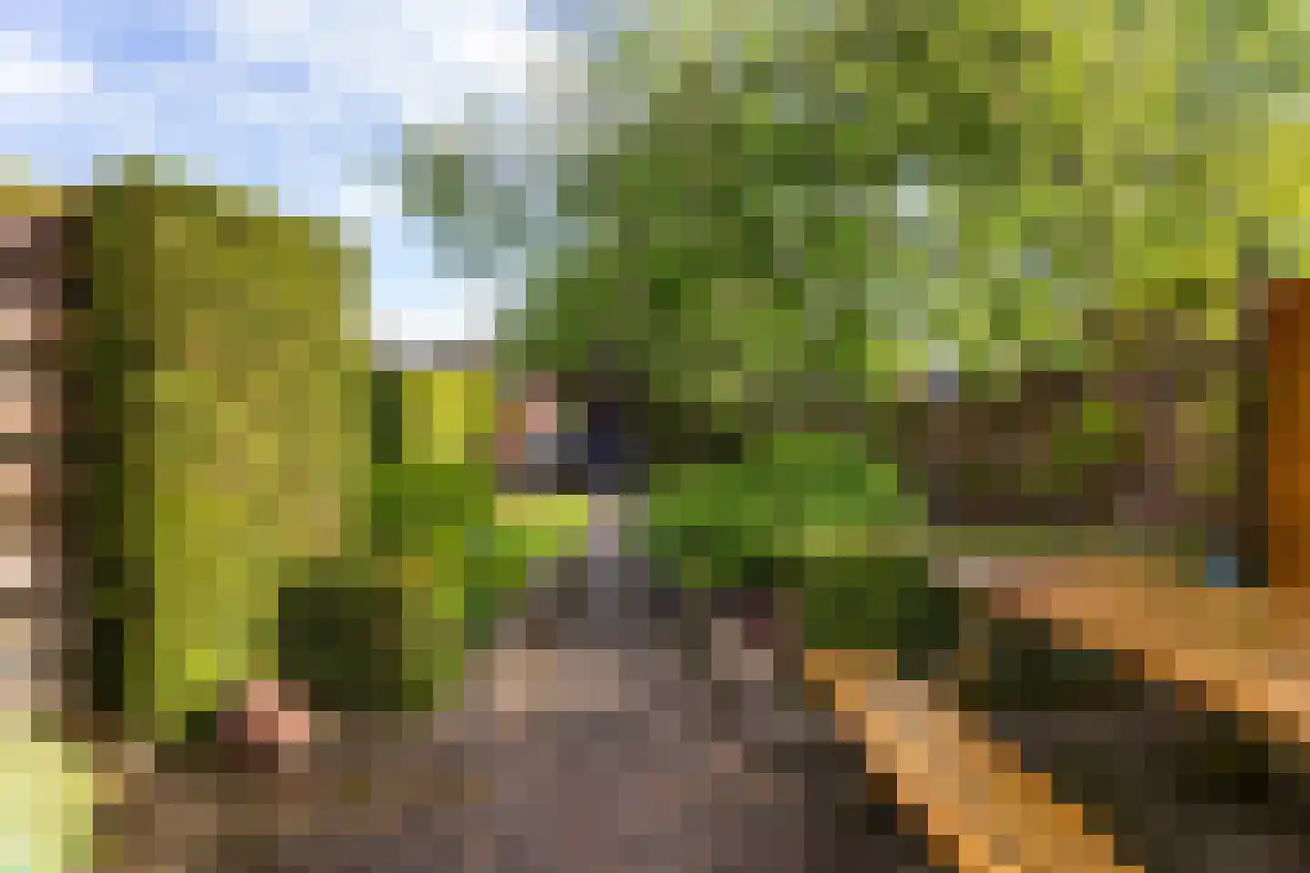 Nieuwendijk 16 Wijhe thumbnail 11