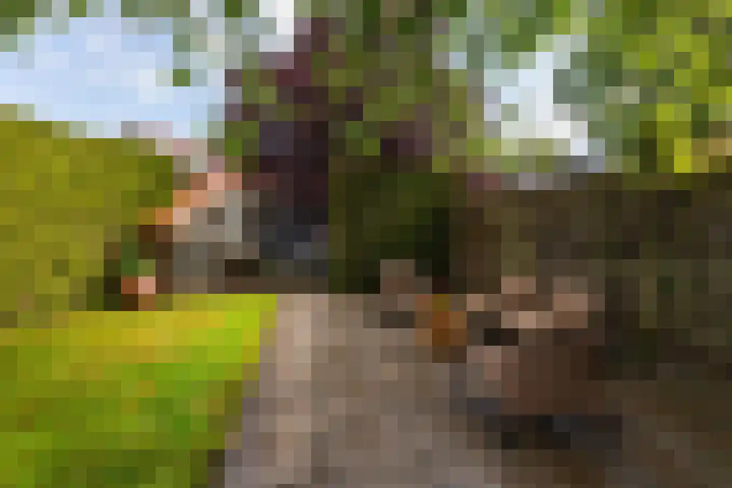 Nieuwendijk 16 Wijhe thumbnail 12