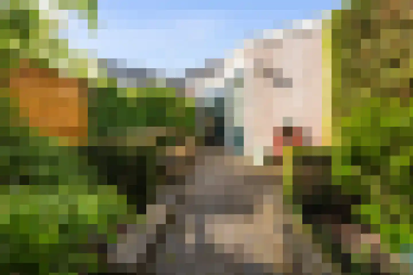 Nieuwendijk 16 Wijhe thumbnail 13