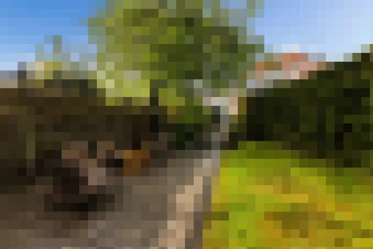Nieuwendijk 16 Wijhe thumbnail 15