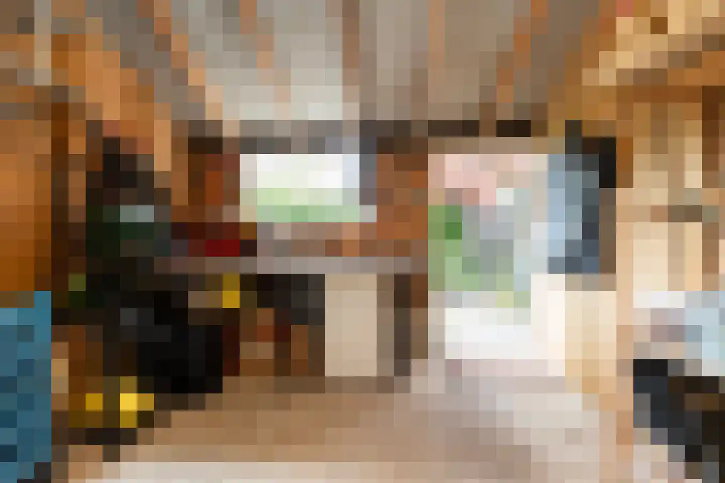 Nieuwendijk 16 Wijhe thumbnail 15