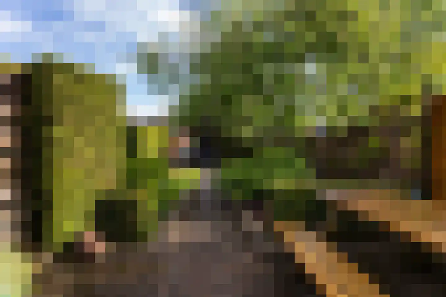 Nieuwendijk 16 Wijhe thumbnail 16
