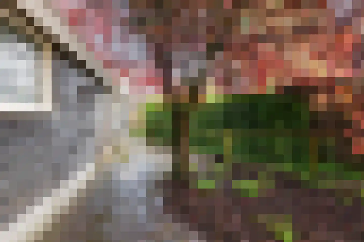 Nieuwendijk 16 Wijhe thumbnail 16