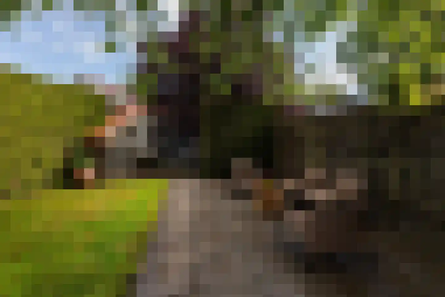 Nieuwendijk 16 Wijhe thumbnail 17