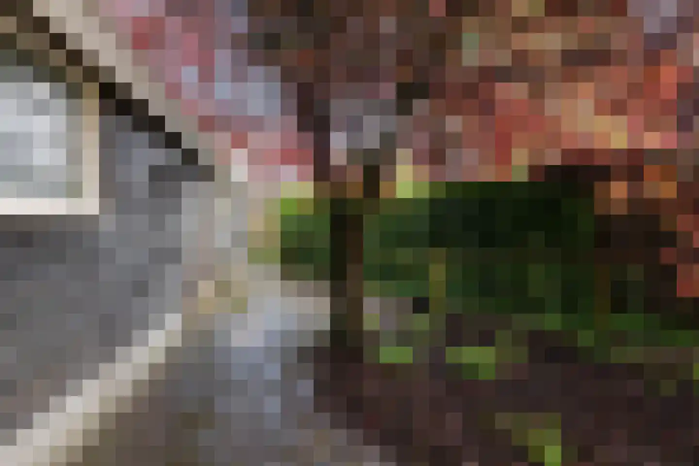 Nieuwendijk 16 Wijhe thumbnail 18
