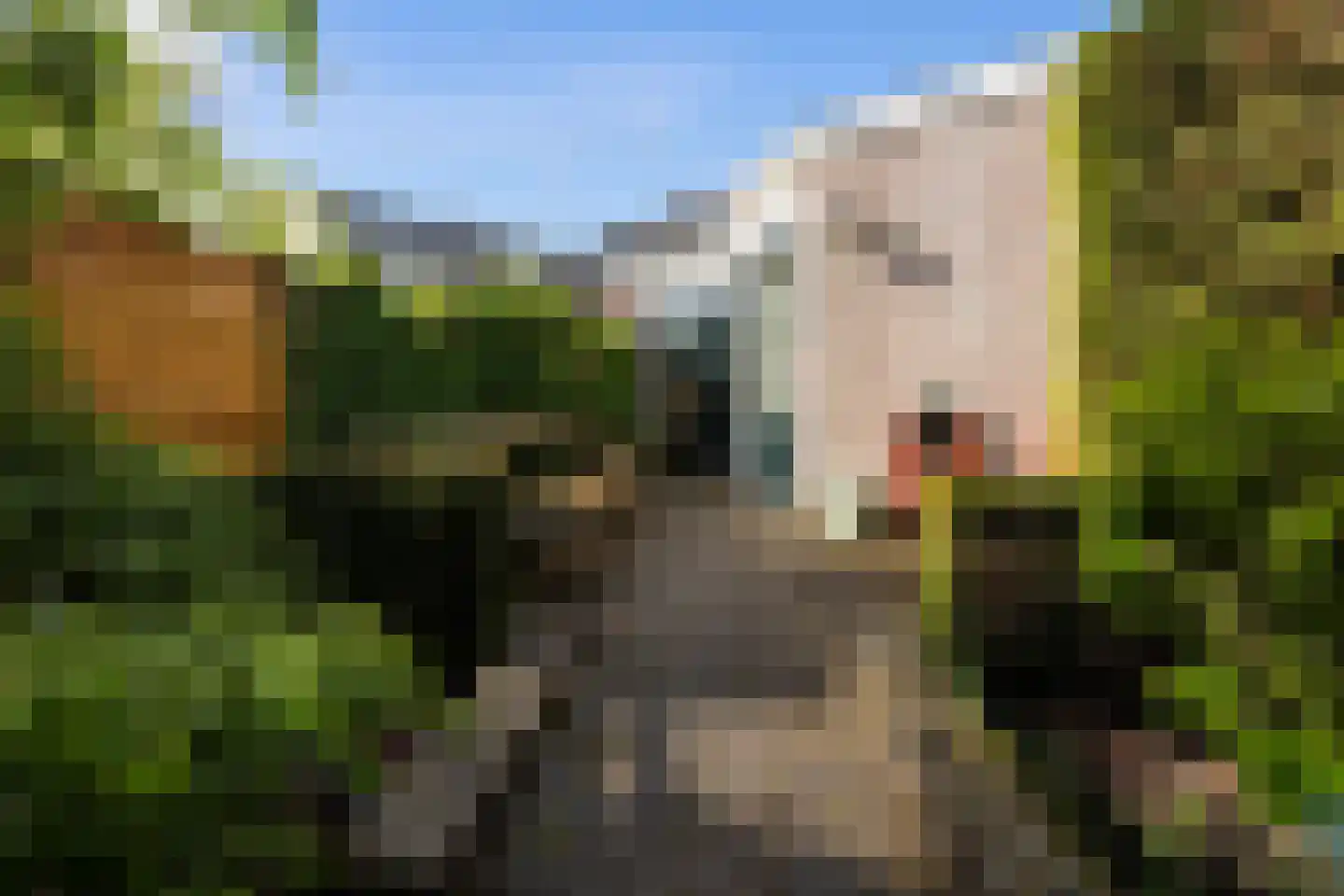 Nieuwendijk 16 Wijhe thumbnail 19