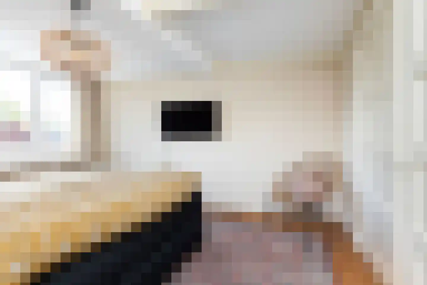 Nieuwendijk 16 Wijhe thumbnail 22