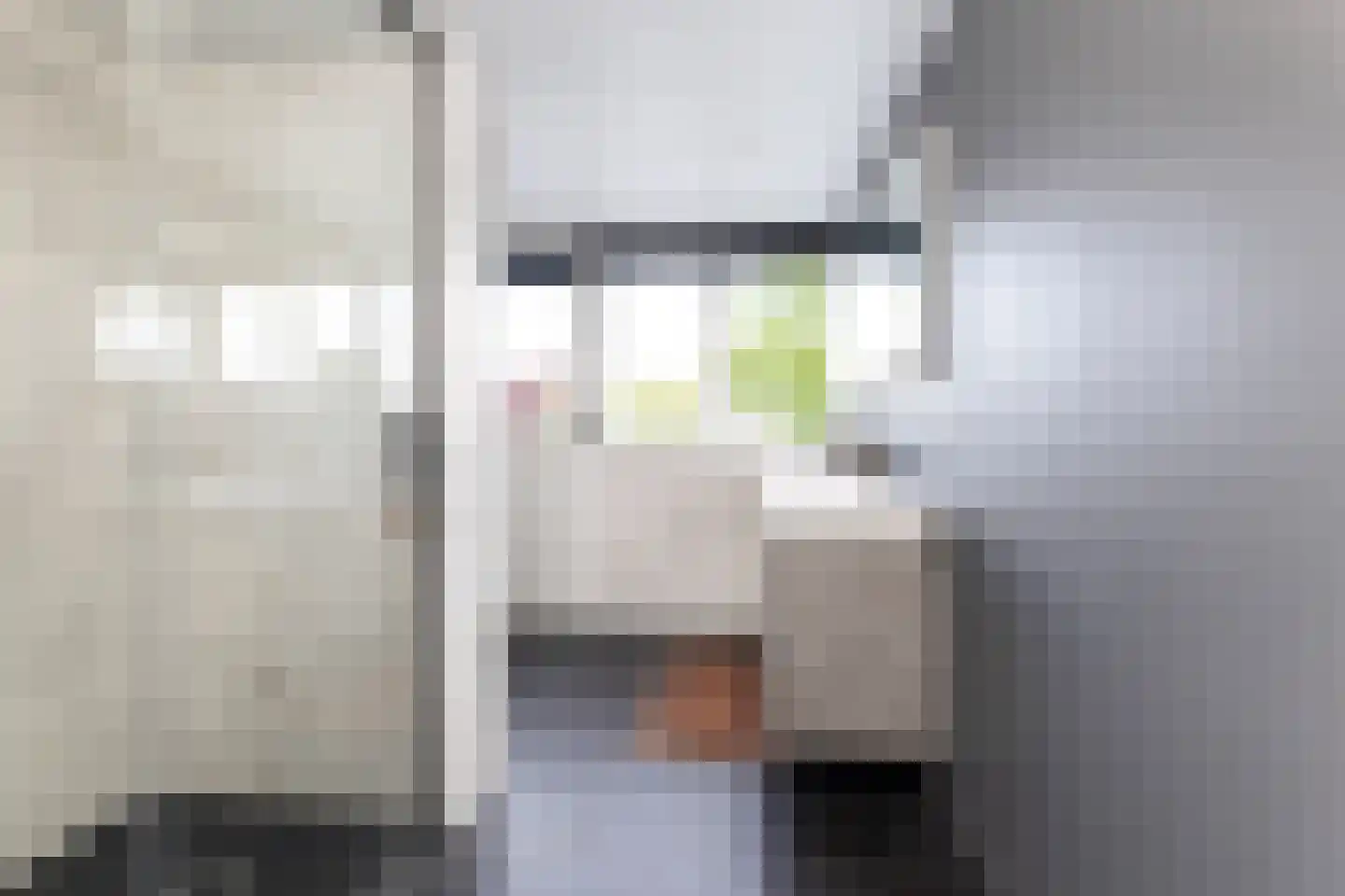 Nieuwendijk 16 Wijhe thumbnail 24