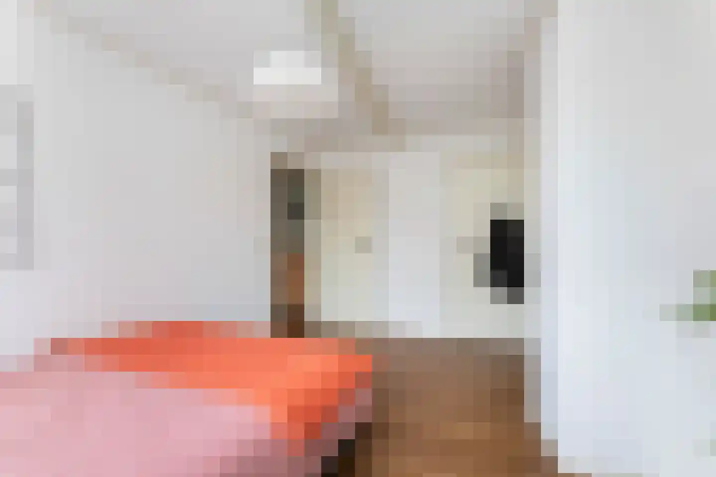 Nieuwendijk 16 Wijhe thumbnail 27
