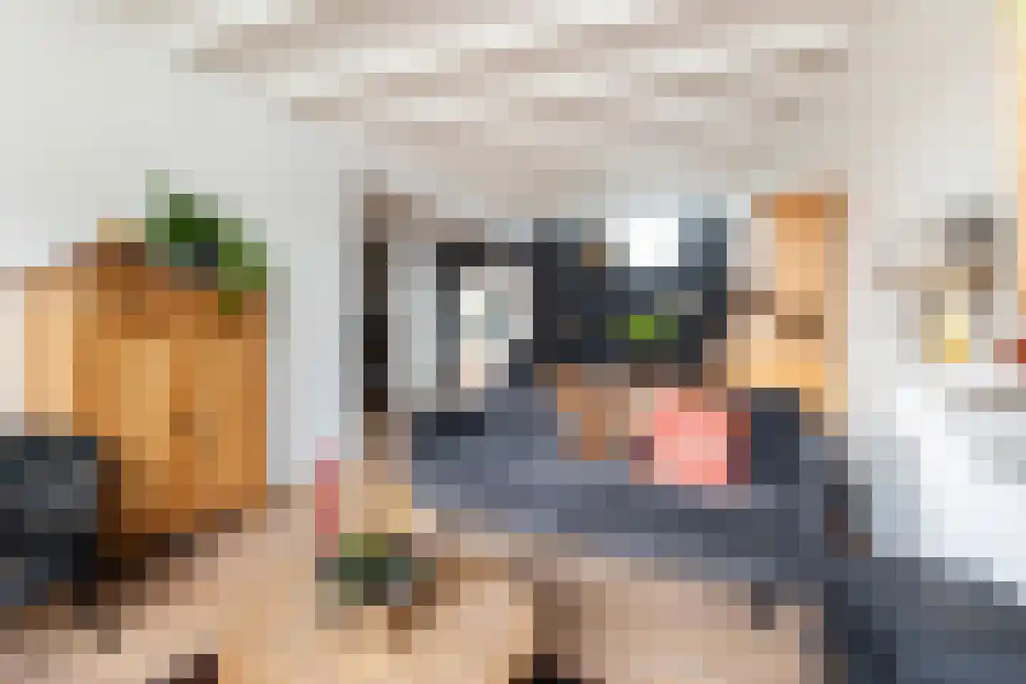 Nieuwendijk 16 Wijhe thumbnail 4