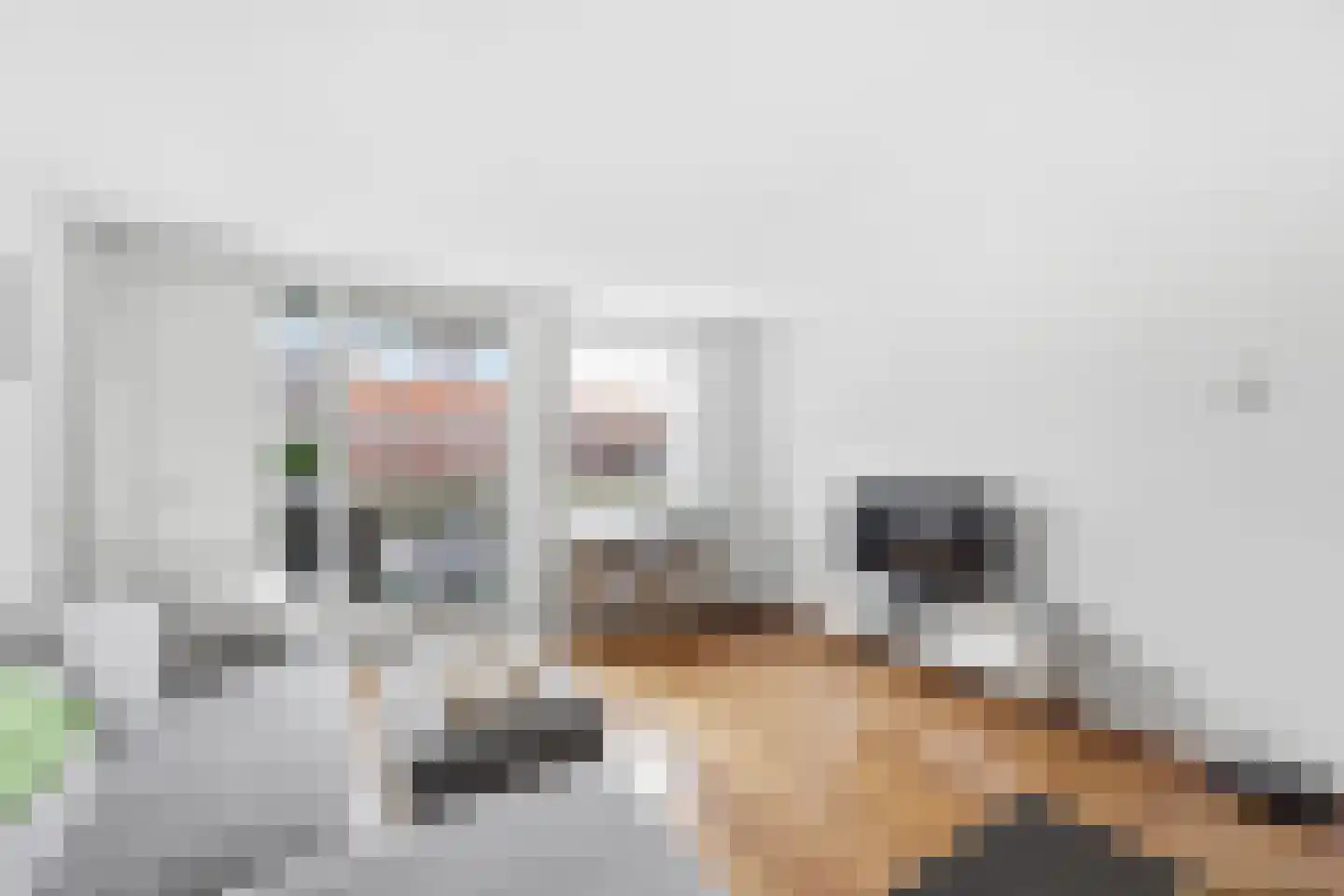 Nieuwendijk 18 Vlissingen thumbnail 14