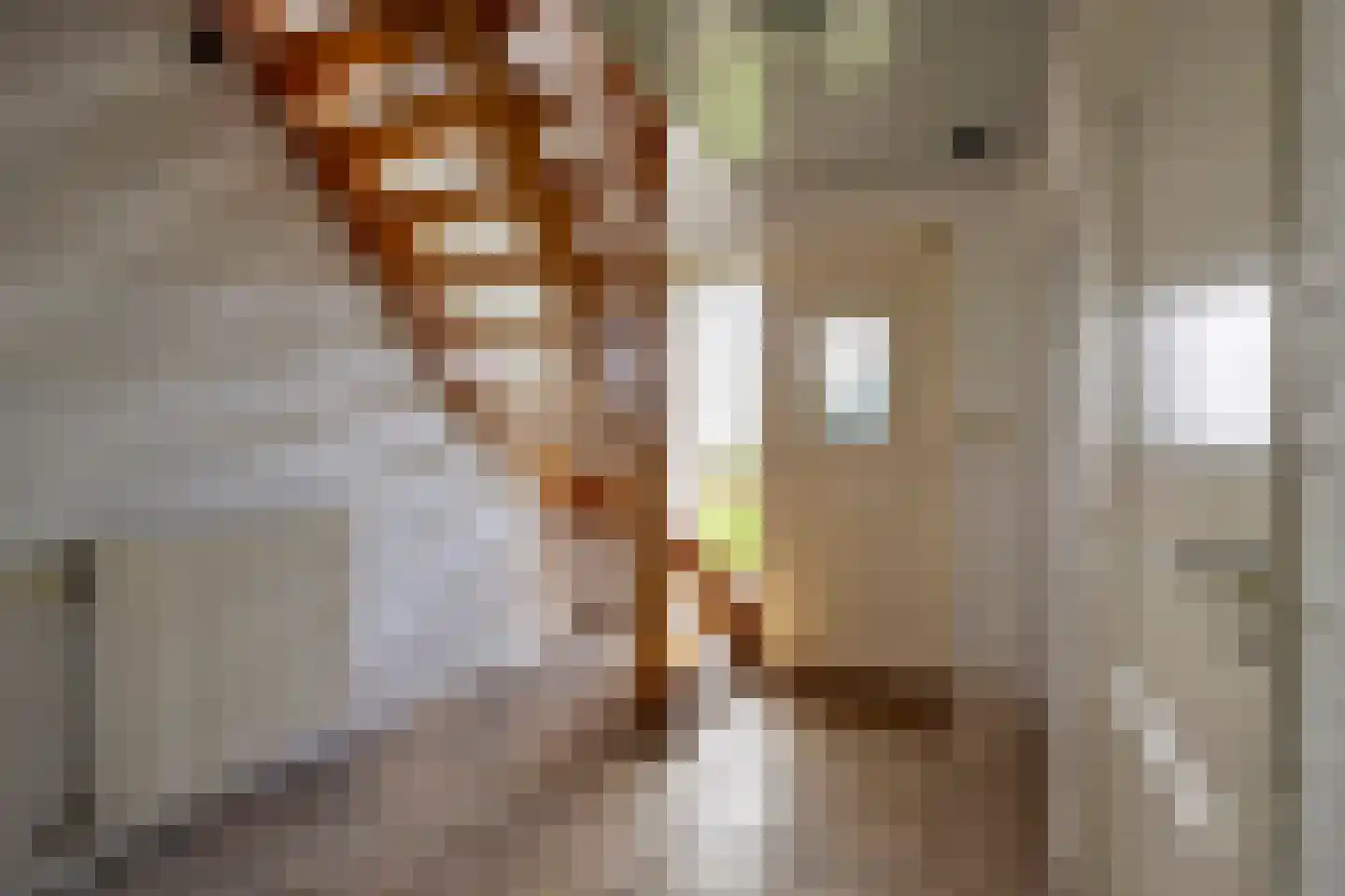 Nieuwendijk 2 A Zwolle thumbnail 12