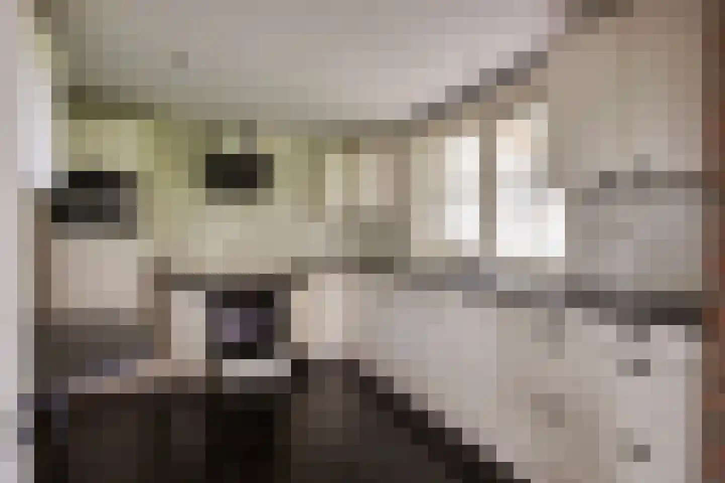 Nieuwendijk 2 A Zwolle thumbnail 16