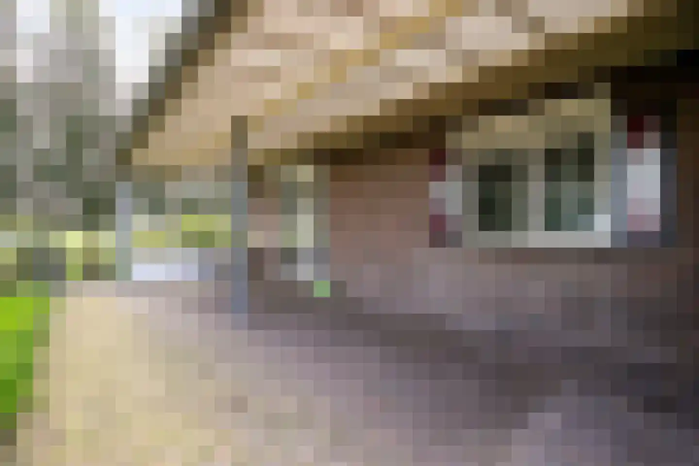Nieuwendijk 2 A Zwolle thumbnail 35