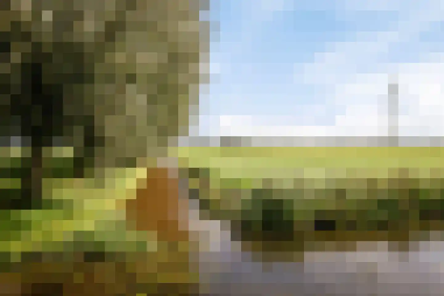 Nieuwendijk 2 A Zwolle thumbnail 41