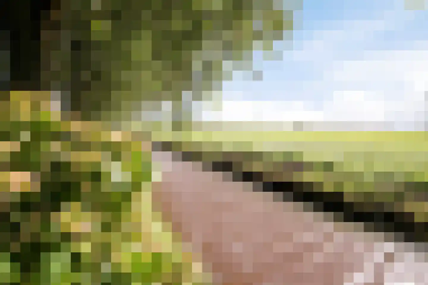 Nieuwendijk 2 A Zwolle thumbnail 42