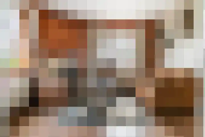 Nieuwendijk 2 Rumpt thumbnail 11