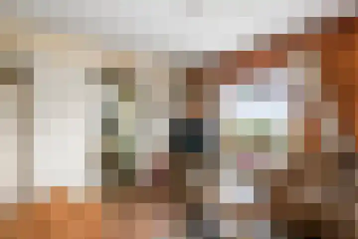 Nieuwendijk 2 Rumpt thumbnail 12