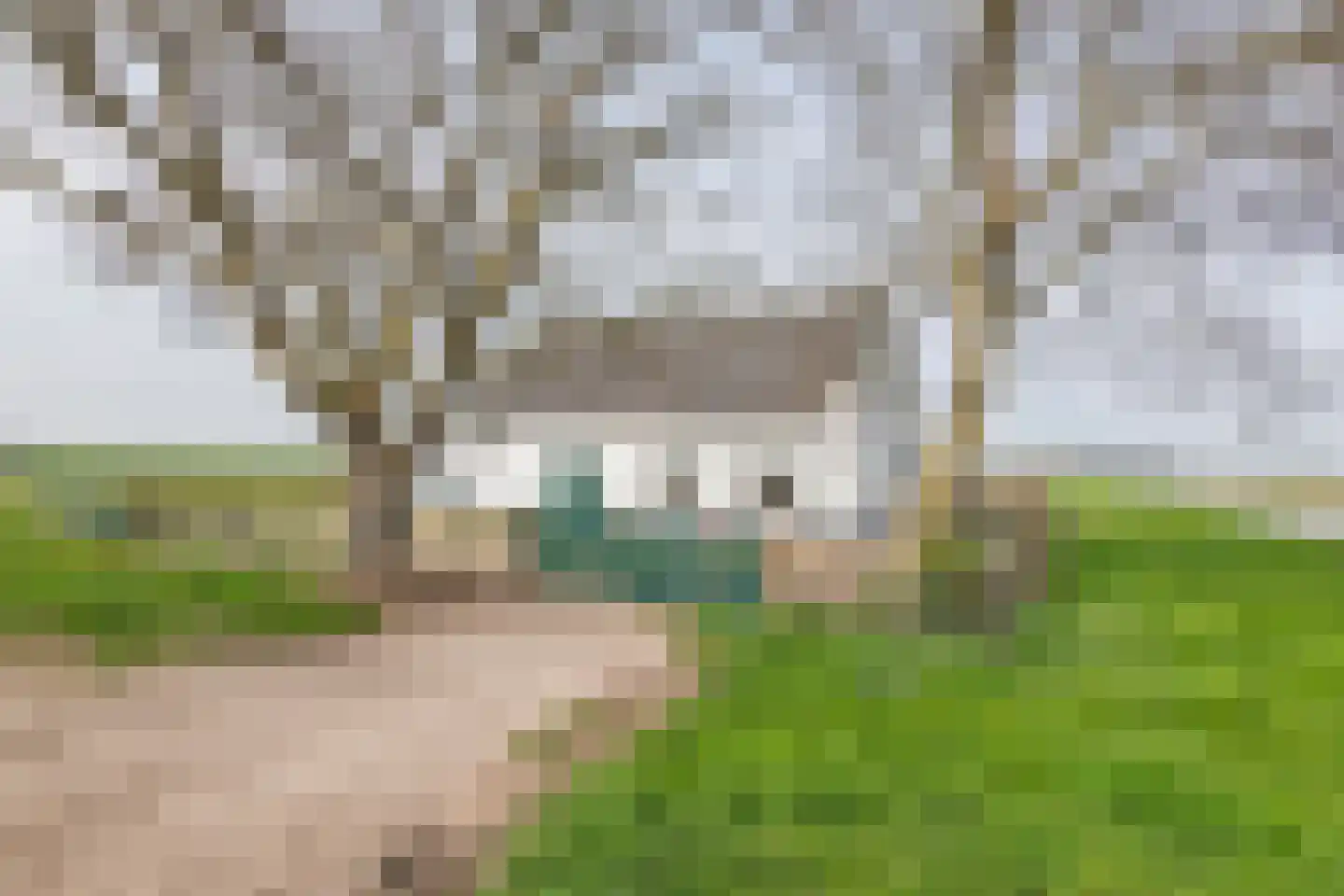 Nieuwendijk 2 Rumpt foto 2