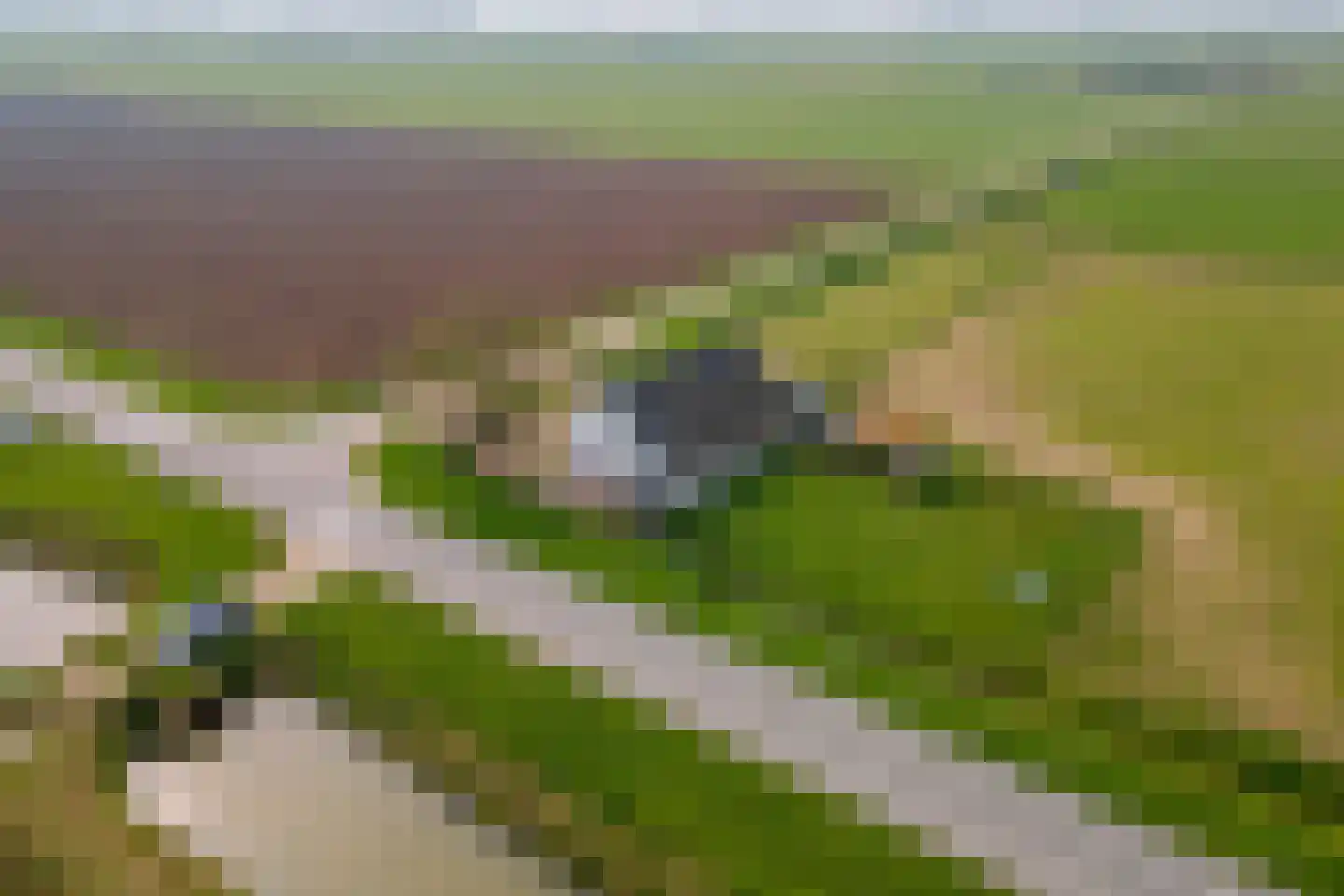 Nieuwendijk 2 Rumpt thumbnail 29