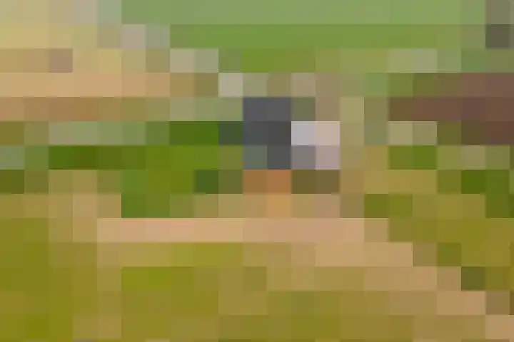 Nieuwendijk 2 Rumpt thumbnail 30