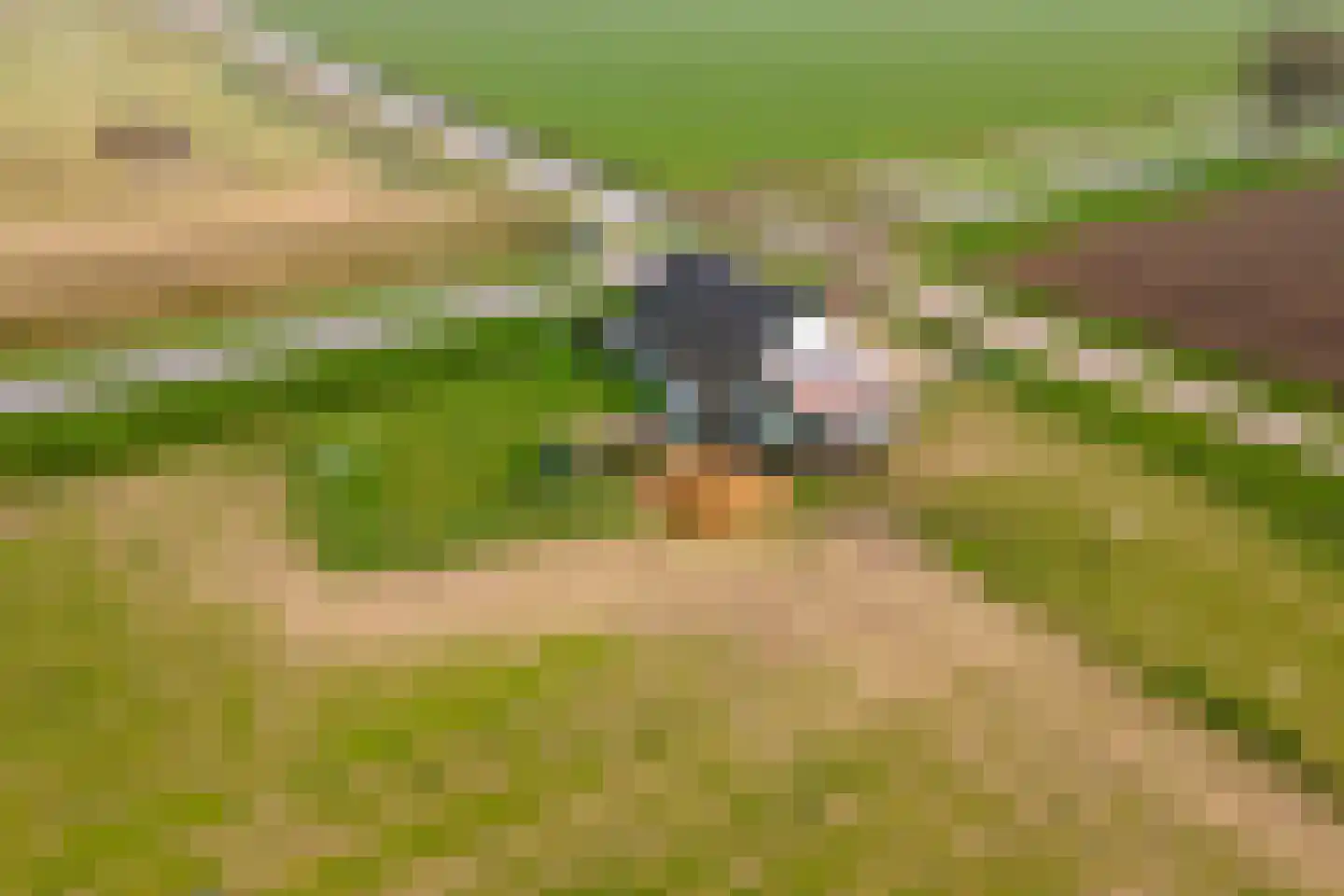 Nieuwendijk 2 Rumpt thumbnail 30