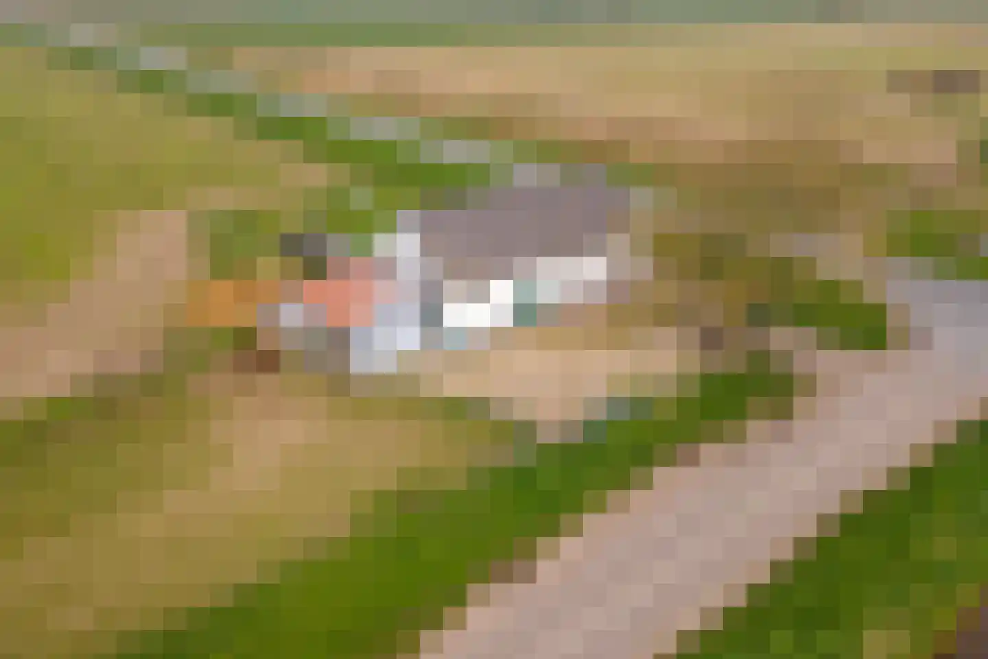 Nieuwendijk 2 Rumpt thumbnail 31