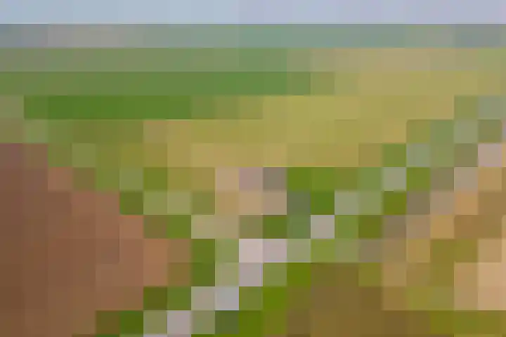 Nieuwendijk 2 Rumpt thumbnail 32