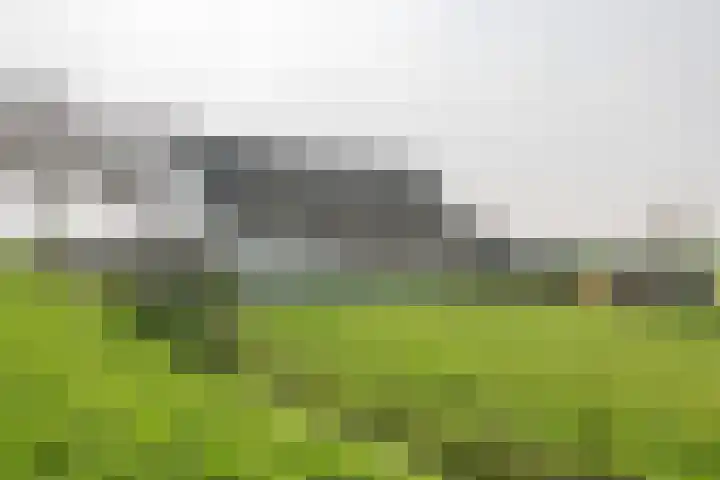 Nieuwendijk 2 Rumpt thumbnail 4