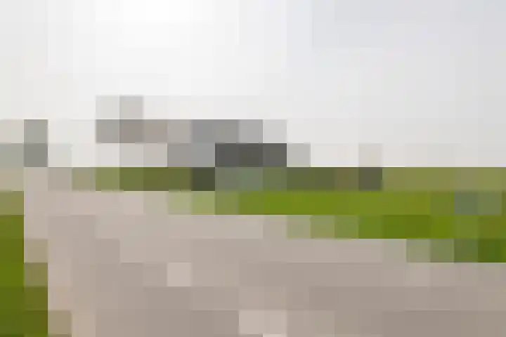Nieuwendijk 2 Rumpt thumbnail 6