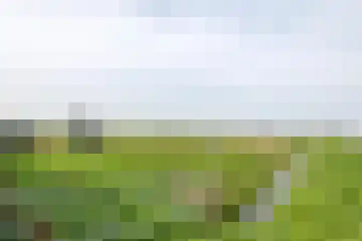 Nieuwendijk 2 Rumpt thumbnail 7