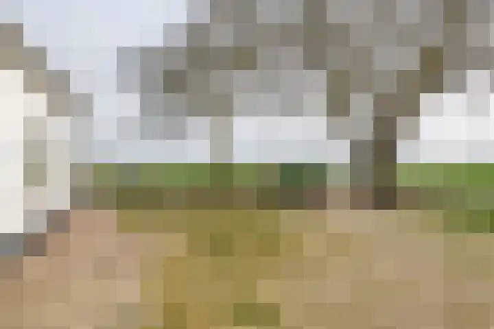 Nieuwendijk 2 Rumpt thumbnail 9