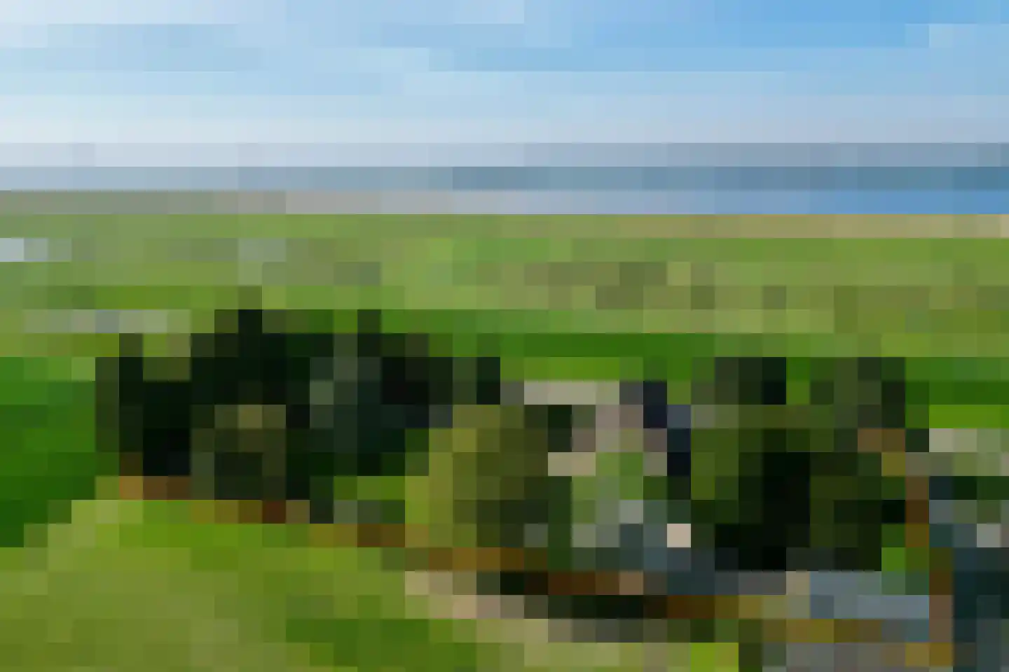 Nieuwendijk 2 Zuid-Beijerland