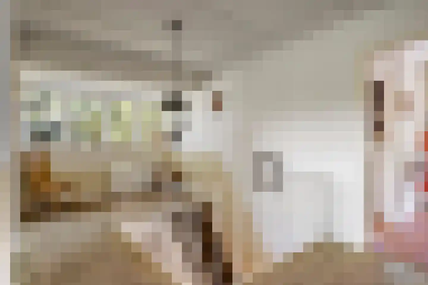 Nieuwendijk 2 Zuid-Beijerland thumbnail 26