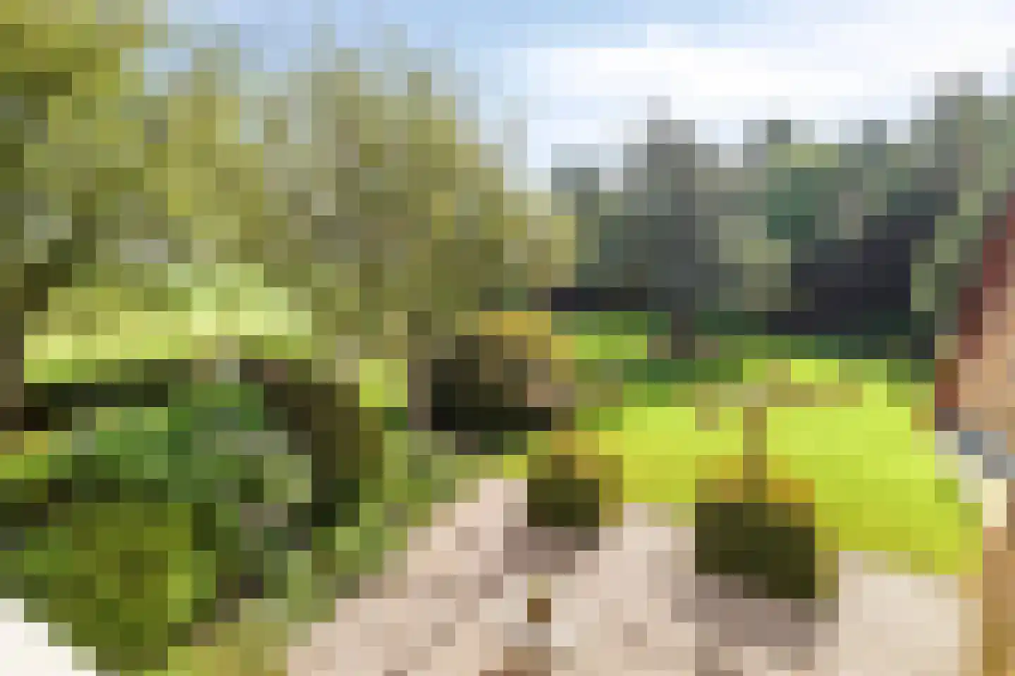 Nieuwendijk 2 Zuid-Beijerland thumbnail 29