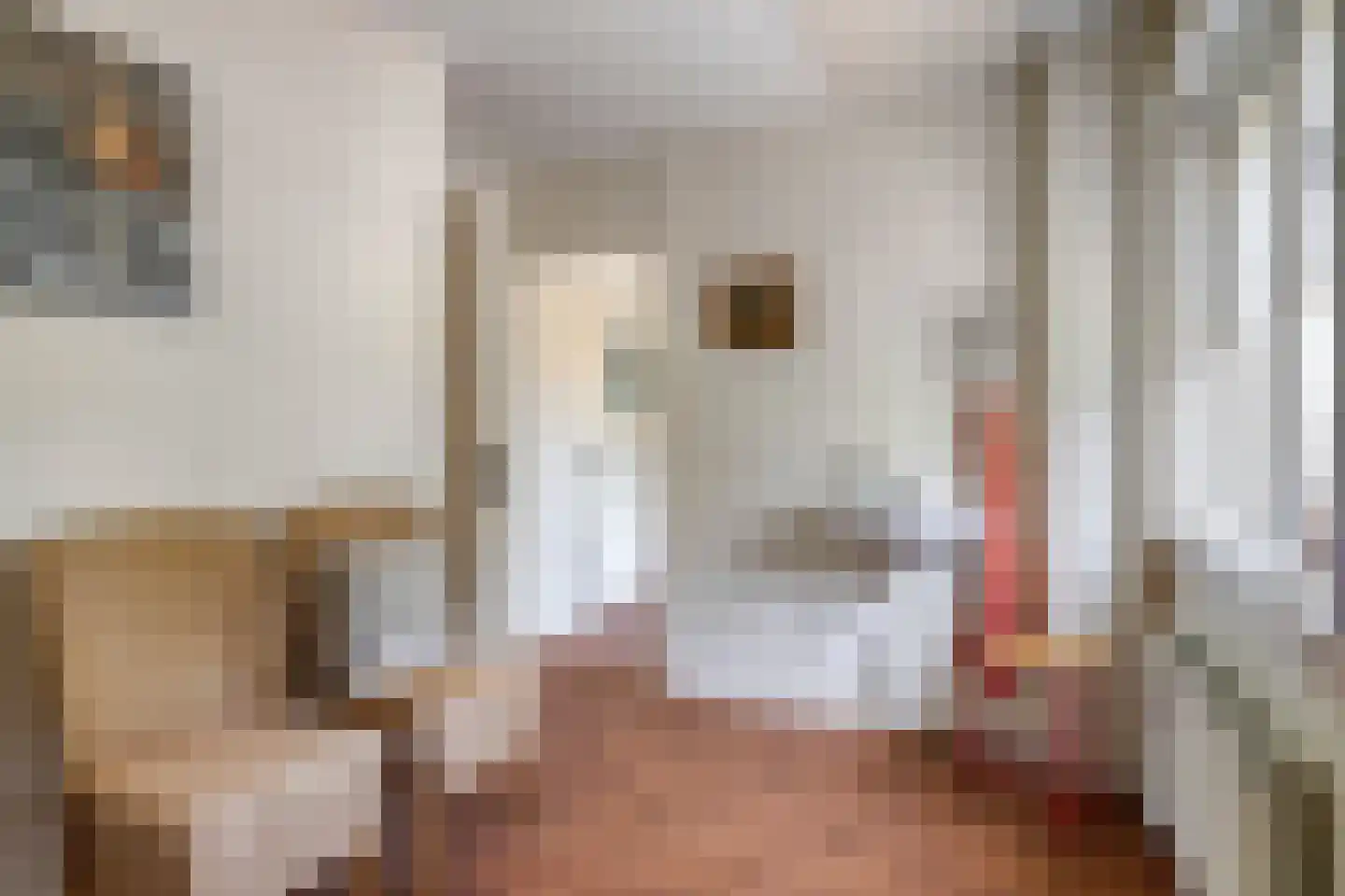 Nieuwendijk 2 Zuid-Beijerland thumbnail 33