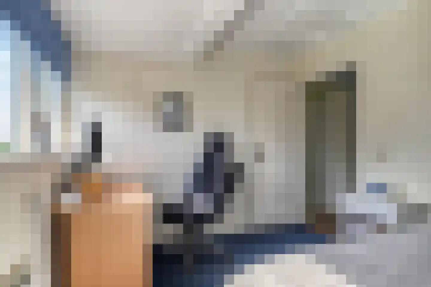 Nieuwendijk 2 Zuid-Beijerland thumbnail 35