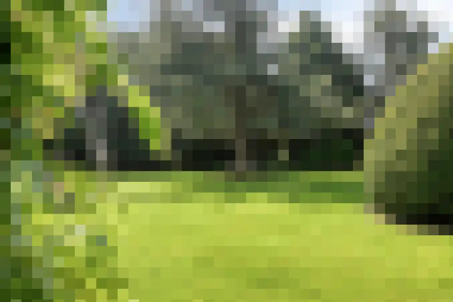 Nieuwendijk 2 Zuid-Beijerland thumbnail 45