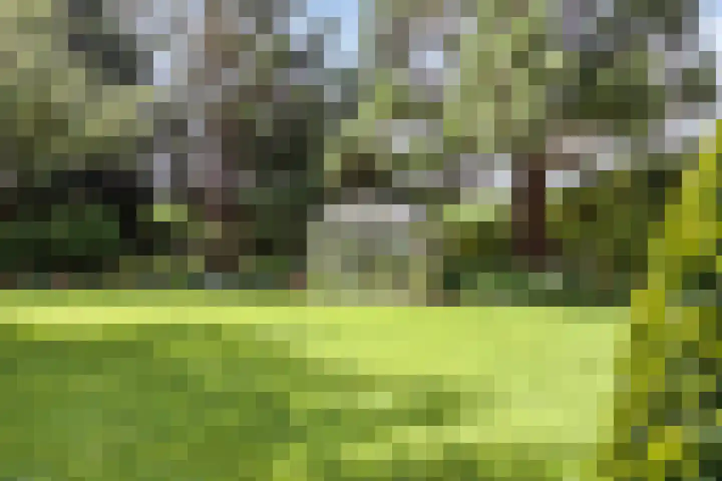 Nieuwendijk 2 Zuid-Beijerland thumbnail 46