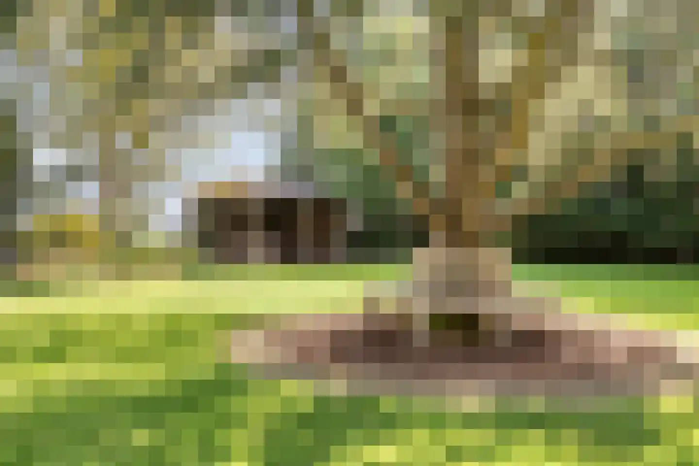 Nieuwendijk 2 Zuid-Beijerland thumbnail 47