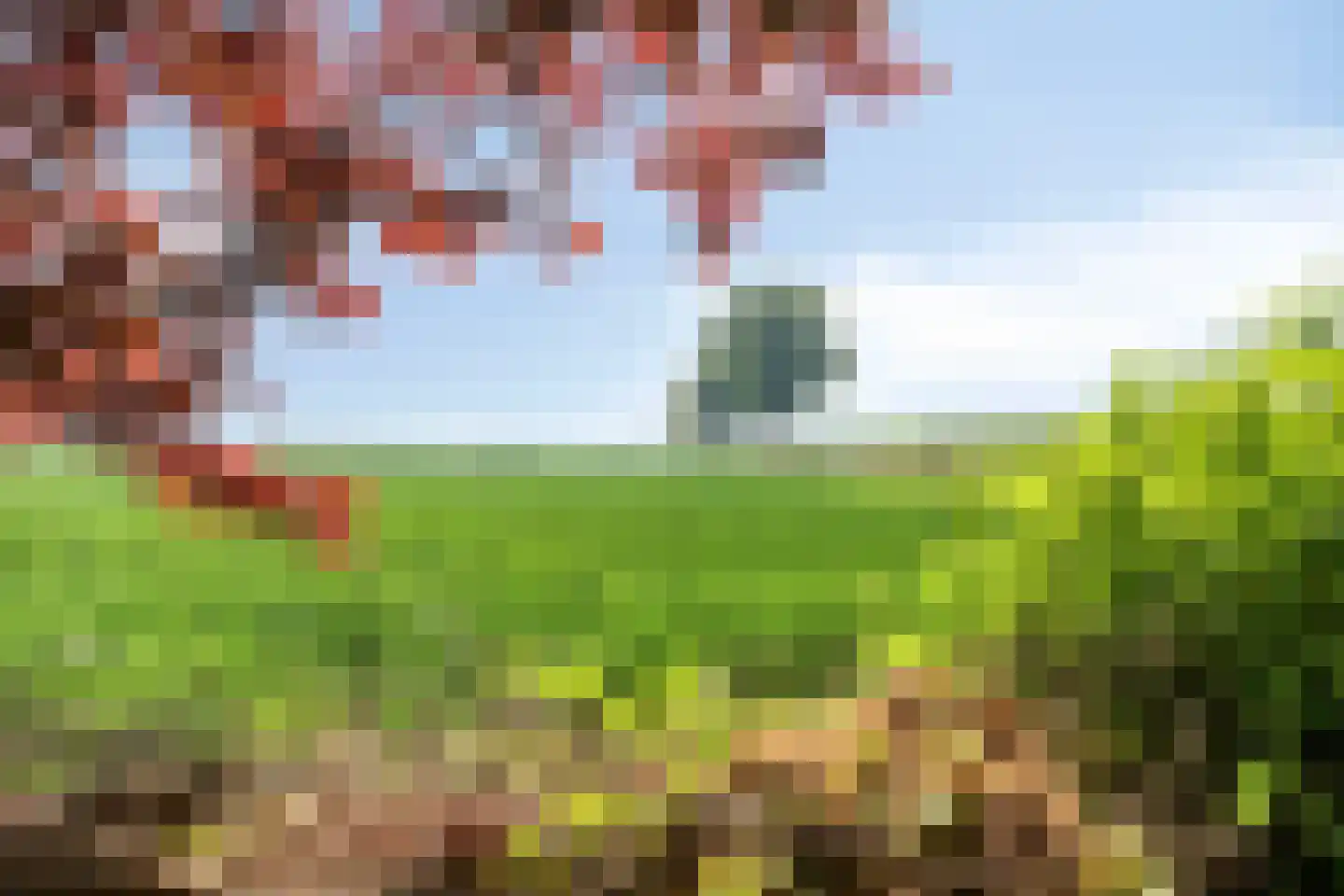 Nieuwendijk 2 Zuid-Beijerland thumbnail 53