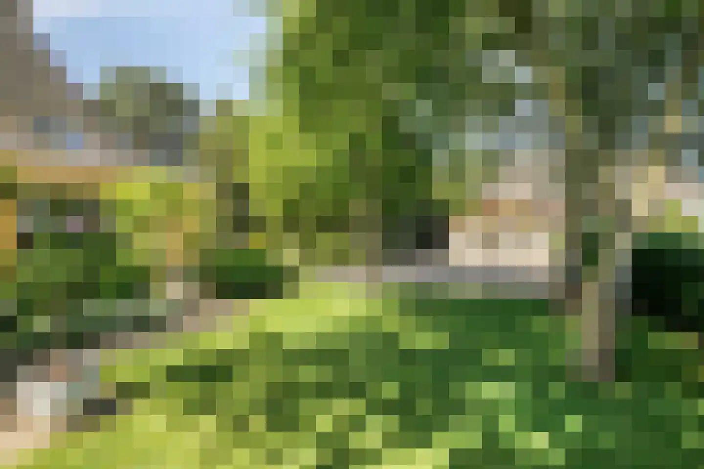 Nieuwendijk 2 Zuid-Beijerland thumbnail 56