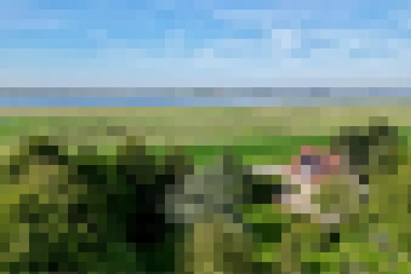 Nieuwendijk 2 Zuid-Beijerland thumbnail 63