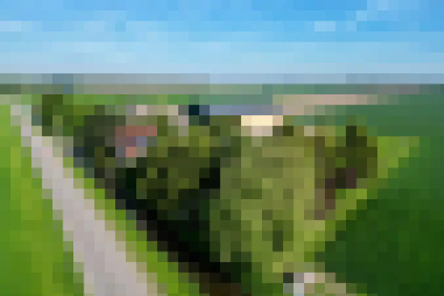 Nieuwendijk 2 Zuid-Beijerland thumbnail 64