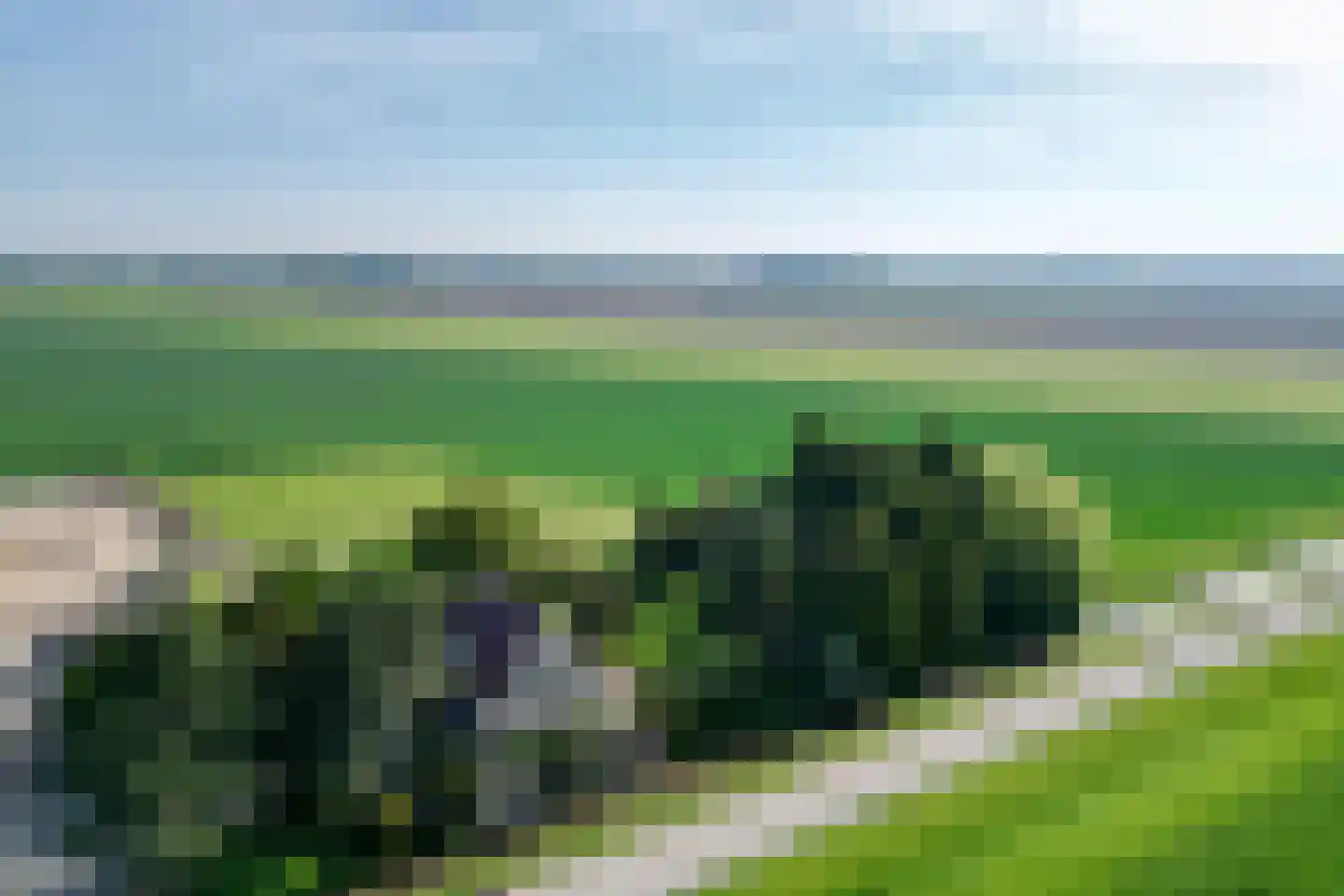 Nieuwendijk 2 Zuid-Beijerland thumbnail 65