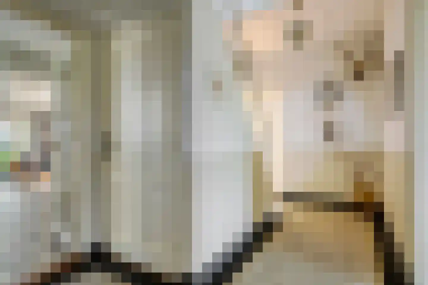 Nieuwendijk 2 Zuid-Beijerland thumbnail 7
