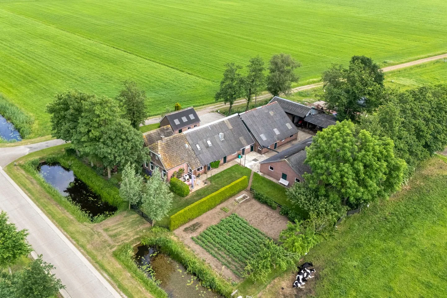 Nieuwendijk 2 Zwolle foto 3