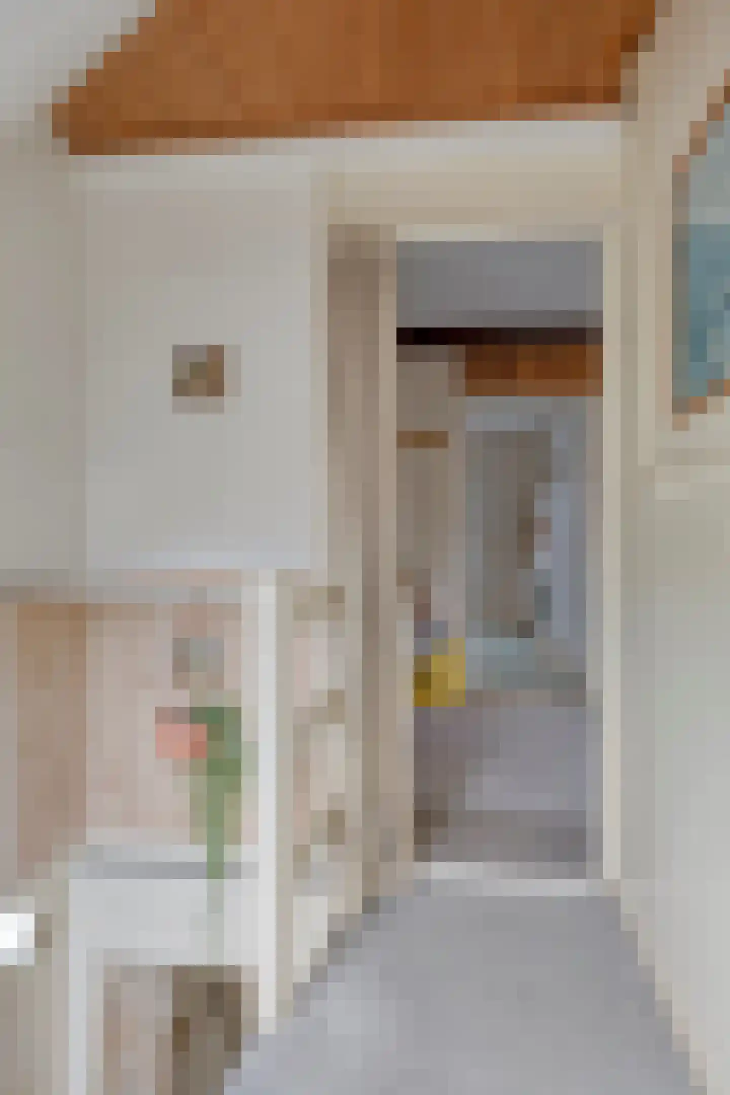 Nieuwendijk 21 Wijhe thumbnail 22
