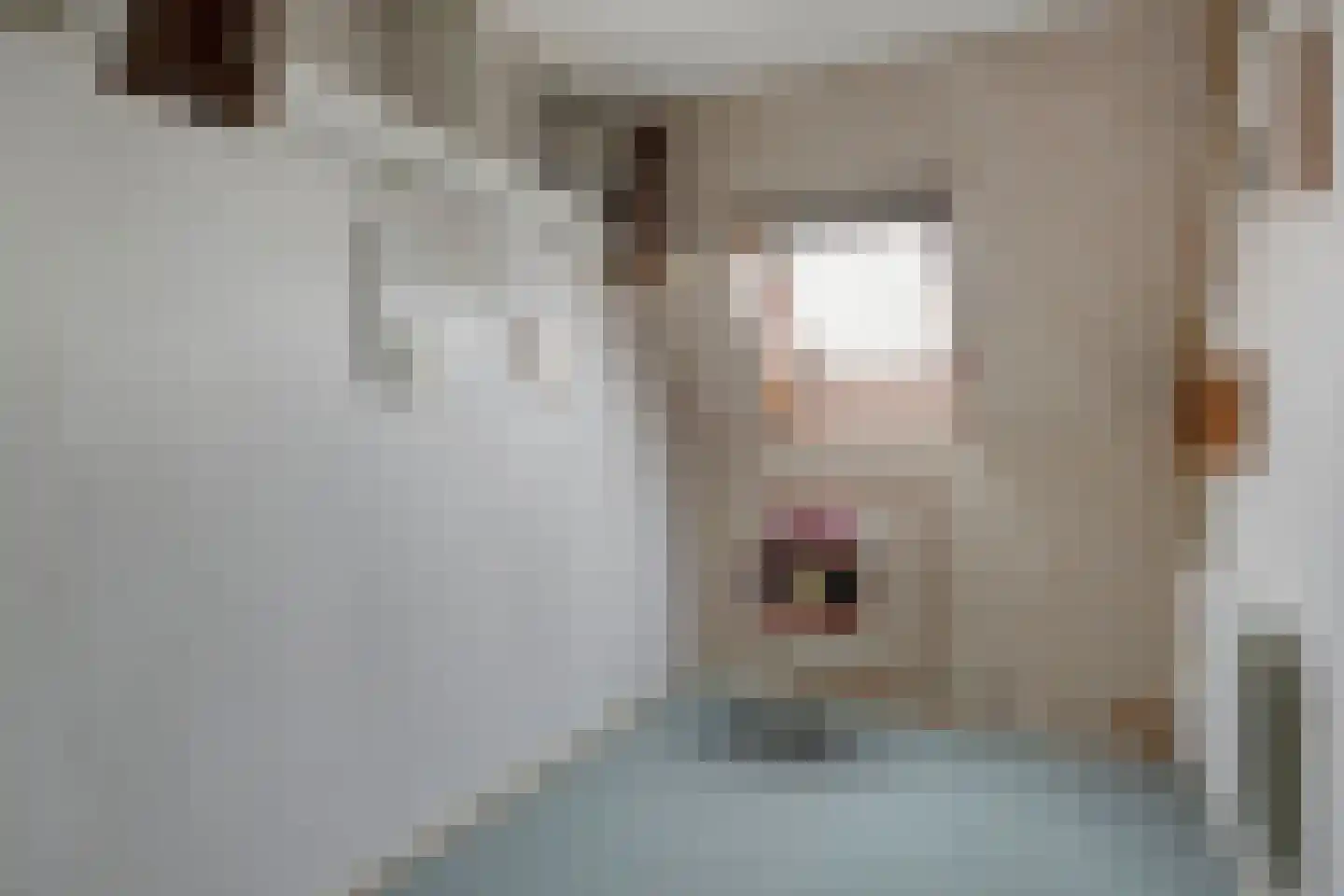 Nieuwendijk 21 Wijhe thumbnail 25
