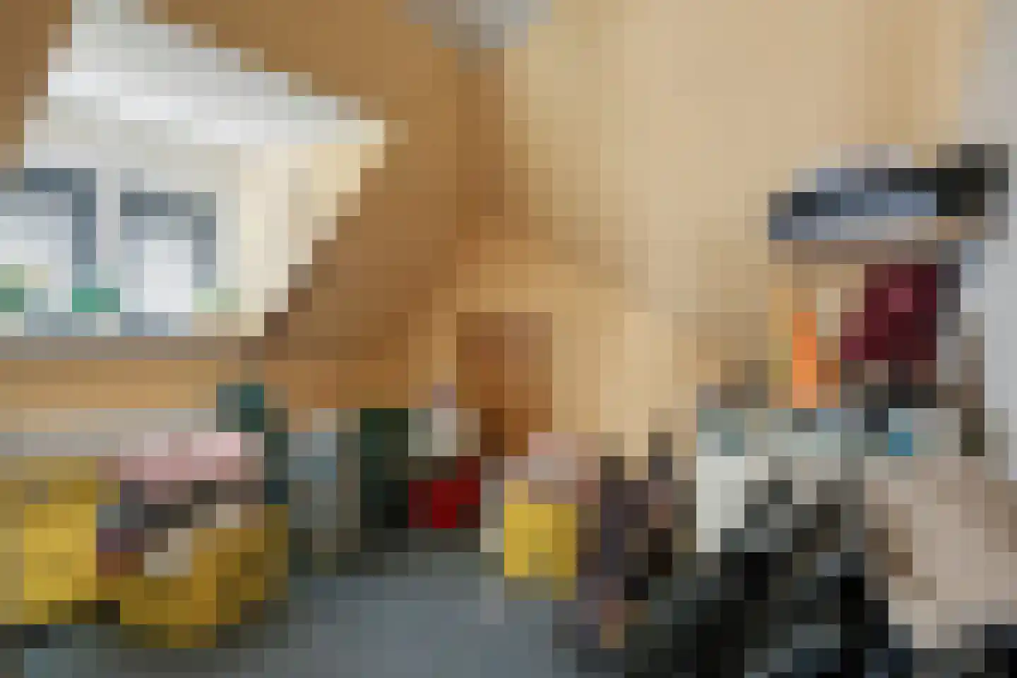 Nieuwendijk 21 Wijhe thumbnail 27